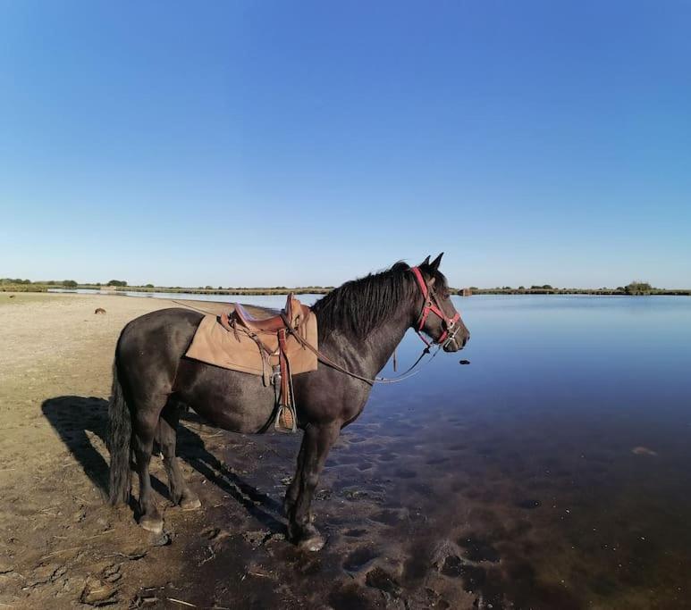 Gite A Saint Andre Des Eaux エクステリア 写真