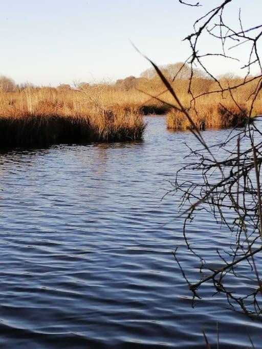 Gite A Saint Andre Des Eaux エクステリア 写真