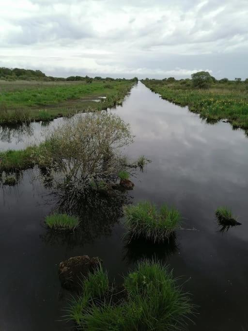 Gite A Saint Andre Des Eaux エクステリア 写真